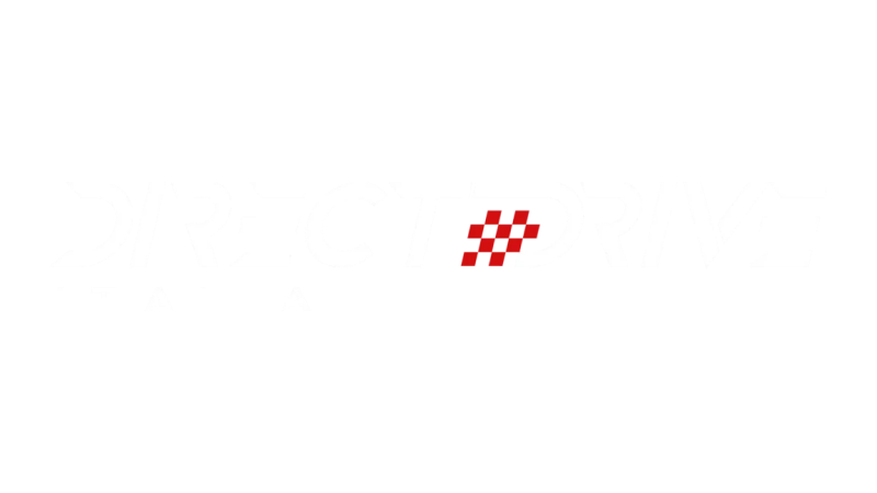 Logo DirectDrive Italia